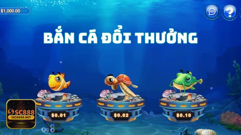 Bắn Cá Hải Tặc - Cách tính thưởng: hiểu đúng để không bắn phí