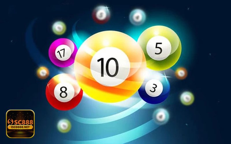 Đầu Lô Câm - Ưu điểm khi nuôi khung 3–5 ngày